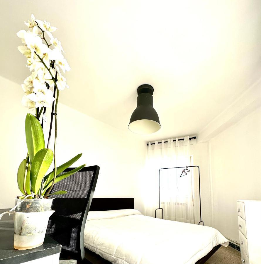 Apartamento Apartamento Cebra Zaragoza Exterior foto