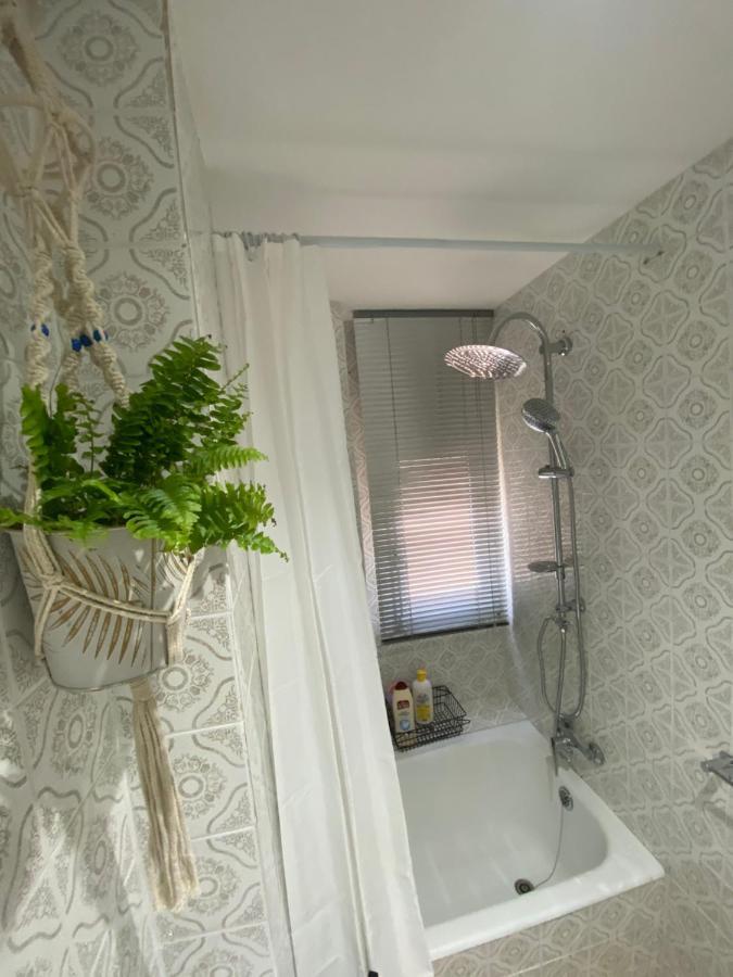 Apartamento Apartamento Cebra Zaragoza Exterior foto